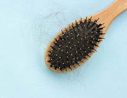 A picture of a brush.